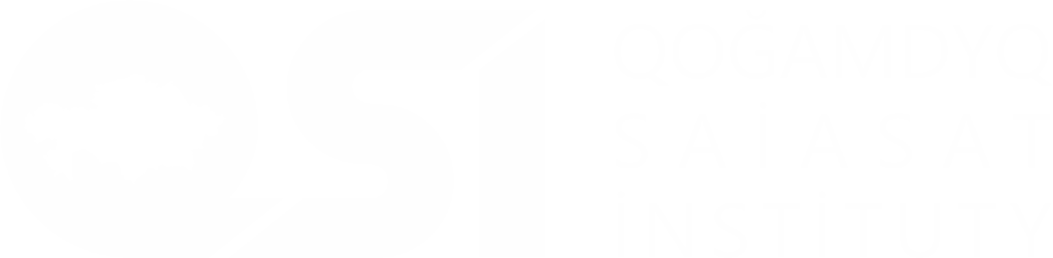 лого QSI белый_горизонт